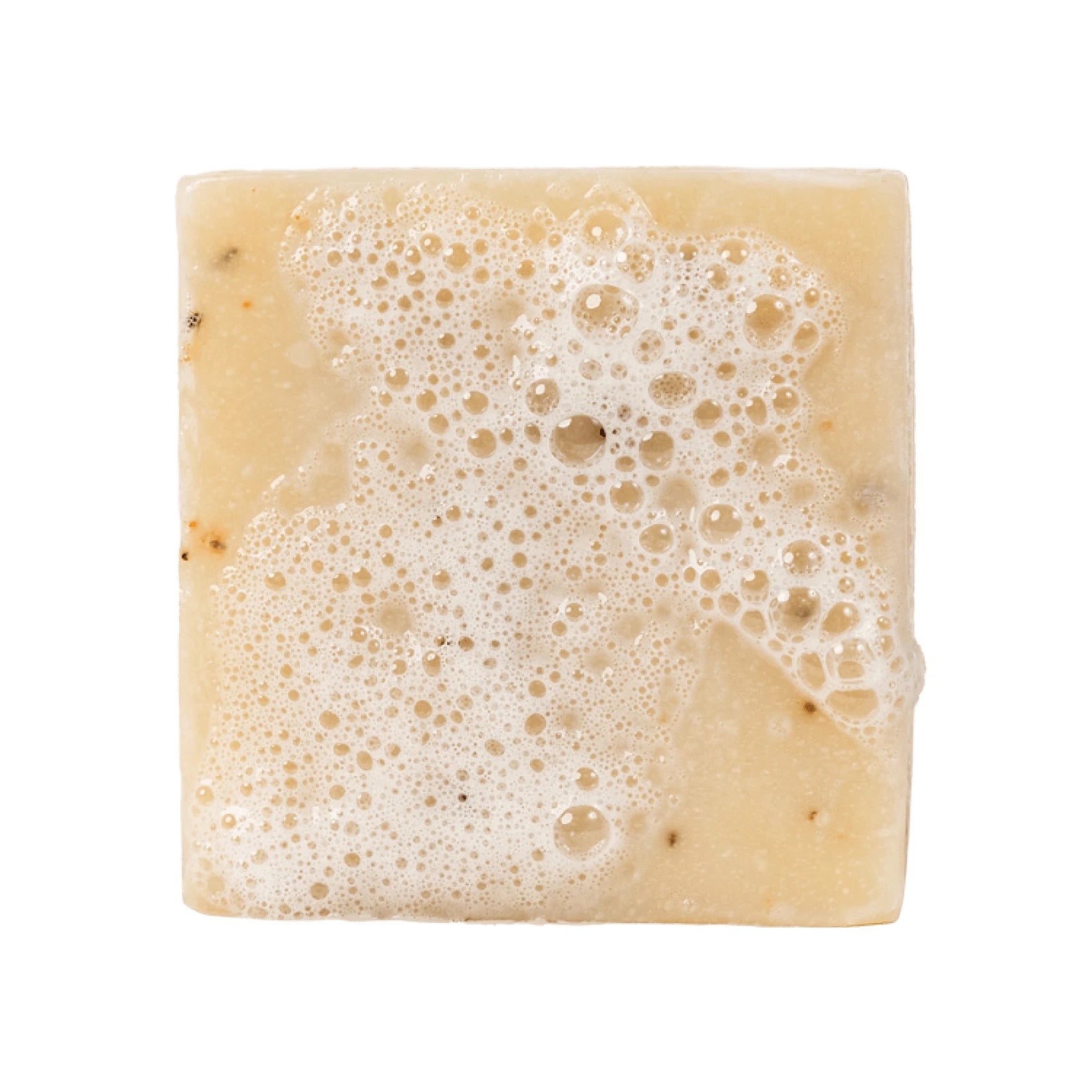 Dr. Squatch Mens Cedar Citrus Soap – Natural Exfoliating Soap Bar for Men  with Cedarwood, Rosemary, Orange Organic Oils – Bar Handmade in USA 